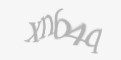 Защитный код