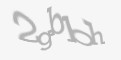 Защитный код